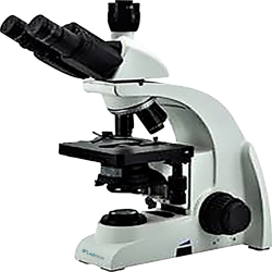 Microscope