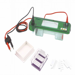 Electrophoresis System